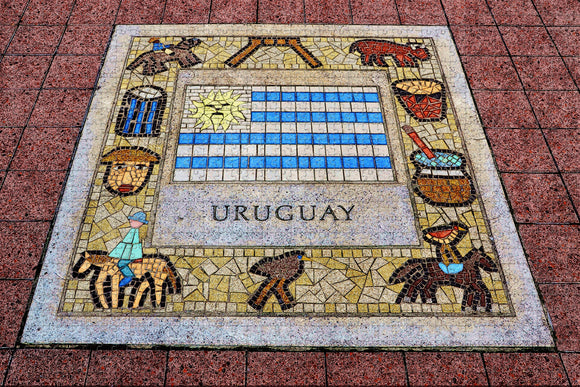 Uruguay Jigsaw Puzzle Wooden 1000 Piece