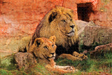 Tanzania Lion Wildlife Jigsaw Puzzle Wooden 1000 Piece