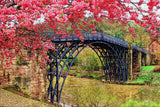 UK England The Iron Bridge and Tollhouse Telford Jigsaw Puzzle Wooden 1000 Piece