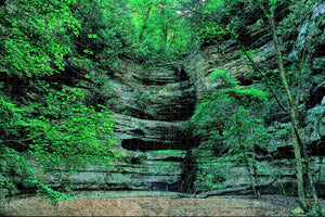 Starved Rock State Park Illinois USA Jigsaw Puzzle Wooden 1000 Piece