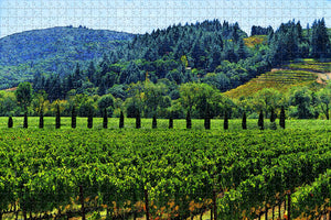 USA America Sonoma County Jigsaw Puzzle Wooden 1000 Piece